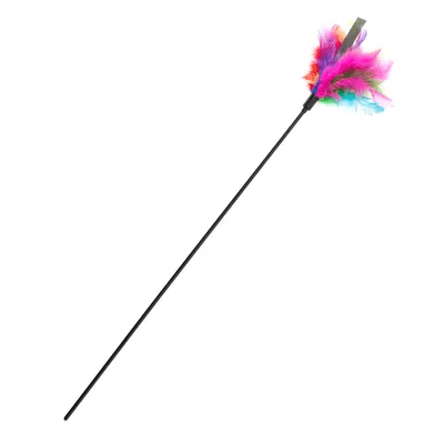 Feather wand